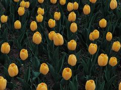 -长春公园(普阳街道)