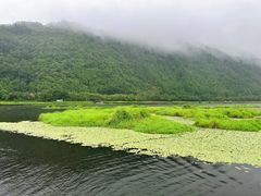 -腾冲北海湿地