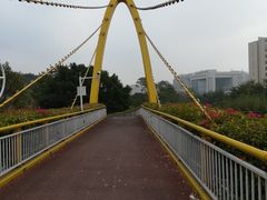 -玉树公园