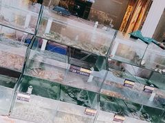 -四海鲜渔家菜(黄金海岸店)