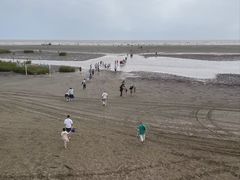 -启东黄金海滩景区