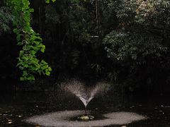 -广州兰圃