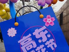 -高东镇樱花园