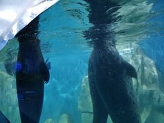 -多彩贵州城极地海洋世界