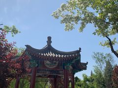 -西海子公园
