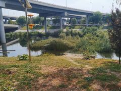 -石榴庄公园
