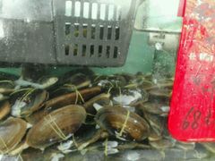 -龙溪海鲜酒家(溪涌店)