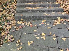 -宁波市保国寺古建筑博物馆