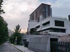 -中国宋庆龄青少年科技文化交流中心