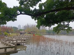 -江心屿景区