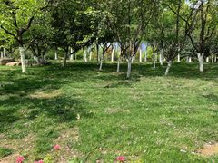 -天鹅湖体育公园