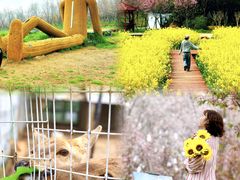 -武汉紫薇都市田园