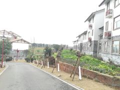-空港花田景区