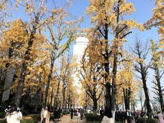 -百林公园-两江幸福广场