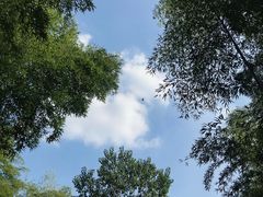 -南京市无想山景区