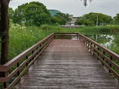 -新江湾城公园