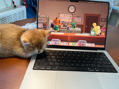 -瑞派·关忠动物医院·猫专科·犬专科(三环新城店)