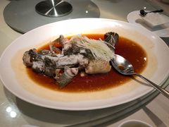 笋壳鱼-利苑酒家(华熙国际店)