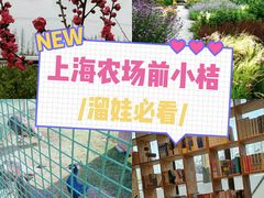 -前小桔亲子创意农场·草莓采摘·露营烧烤