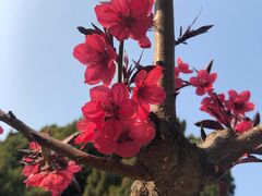 -月坛公园