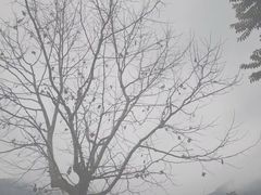 -南漈山