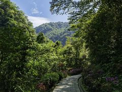 -西岭雪山大飞水景区