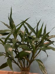 -香秀空间科技抗衰·美容中心