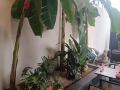 -单家老院·院子里的青岛菜(沙子口店)