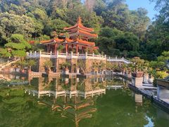 -深圳仙湖植物园