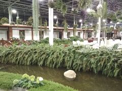 -上海鲜花港
