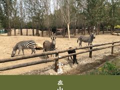 -天津市动物园