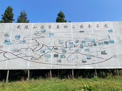-武陵山森林公园