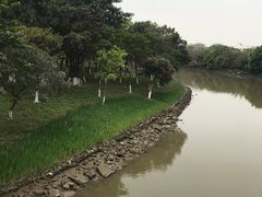 -海珠湖公园