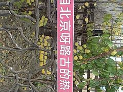-呀路古热带植物园