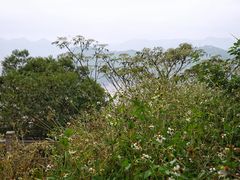 -小皓村