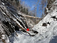 -峡谷浮石林景区