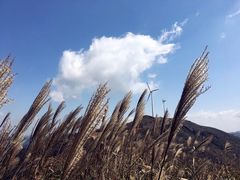 -东白山