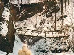 -峡谷浮石林景区