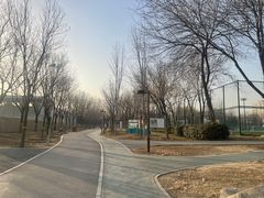 -回龙观体育文化公园