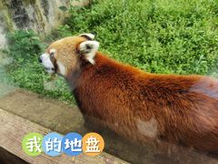 -黔灵山公园