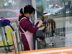-暖阳宠物医院·犬猫康复中心·骨科