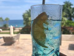 -大堂酒廊·亚龙湾万豪度假酒店