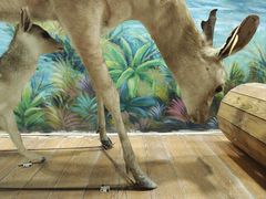 -北京鹿世界主题园