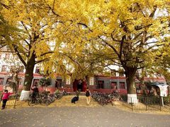 -四川大学(望江校区)