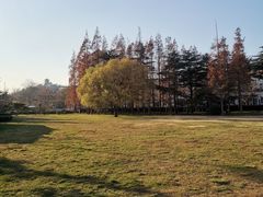 -汇泉广场