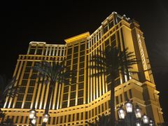 -拉斯维加斯永利酒店