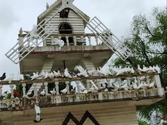 -玄武湖景区-情侣园游乐场