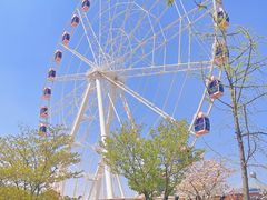 -顾村公园
