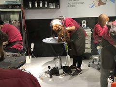 -宠物家(角门东店)