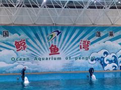 -蓬莱欧乐堡海洋极地世界